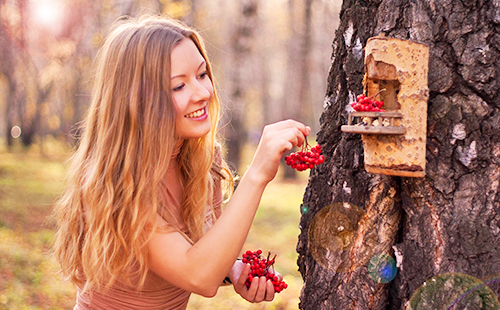 Девушка кормит ягодами птиц в солнечном лесу