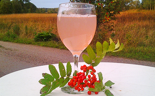 Свежевыжатый сок ягод скорушины хорошо пить на свежем воздухе из бокала на высокой ножке