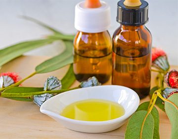 Лечебные свойства и правила использования эвкалиптового масла для здоровья и красоты